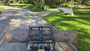 Tree Removal for Near Me Tree Service, Inc. in DeLand, FL