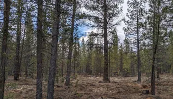 Tree Removal for Bailey's Cutting LLC in Bend, Oregon