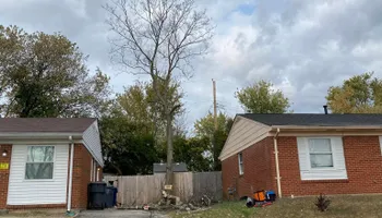 Tree Removal for Houtz Tree Service in Lexington, KY