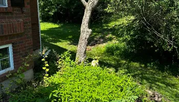 Lawn Maintenance for Vaske Lawn Care in Burlington, KY