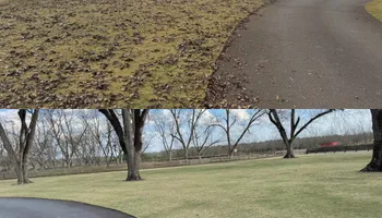 Painting and Drywall for Camalett Services in Perry, GA