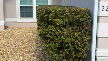 Mowing for Young's Lawn Services LLC in Ocala, FL