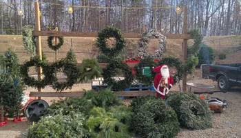 Pinestraw for BAM Another Pinestraw Lot in Flowery Branch, GA