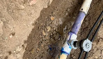 Lawn Maintenance for Grand Canyon State Landscape Inc. in Surprise, AZ