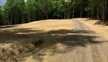 Land Clearing for Gibson Grade Works in Towns County, GA