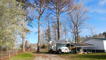 Tree Removal for Puckett's Tree Service in Decatur County, TN