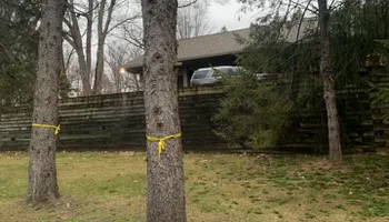 Tree Removal for Ramirez Tree Care in Pontiac, Michigan