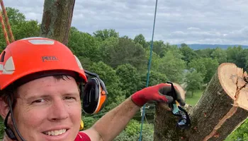 Tree Trimming for Pinedown LLC in Cherokee County, GA