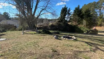 Tree Removal for MTJ Tree Removal LLC in Zebulon, NC