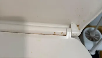 Residential Cleaning for A+ Cleaning and Services LLC in Deep Creek Lake, MD 