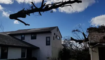 Tree Removal for Spruce Creek Tree Service in Port Orange, FL