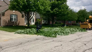 Tree Removal for Village Tree Service  in Whitestown, IN