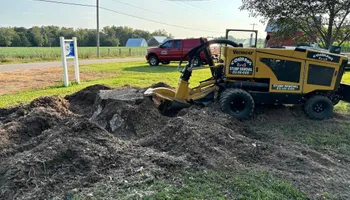 Stump Removal for Conrad's Stump Removal in Columbus, IN