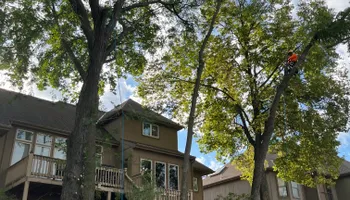 Tree Removal for Cross Family Tree Service in Kearney, MO