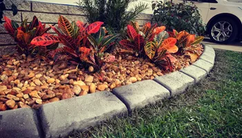 Landscape Curbing for Curbology in Lakeland, FL