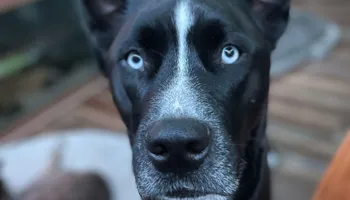 Plumbing Remodels for Mr. Pipe Dreams LLC in Colorado Springs, CO