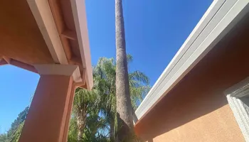 Tree Removal for Sammy's Tree Services in Sacramento, CA