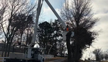 Tree Removal for Cross Family Tree Service in Kearney, MO