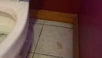 Residential Cleaning for A+ Cleaning and Services LLC in Deep Creek Lake, MD 