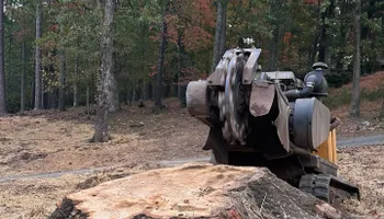Stump Removal for J&K Stump Grinding in Detroit, MI