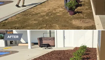 Tree Removal for Optimum Tree Service And Landscaping in Bowling Green, KY