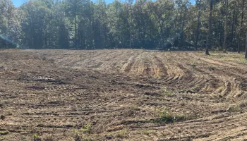 Dirt Work for Rogers Land Services in Hawkinsville, GA