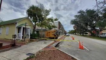 Tree Removal for Regal Tree Service and Stump Grinding in Wauchula, FL