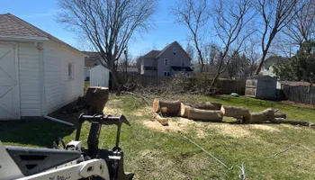 Tree Removal for Licensed to Cut Tree Service in Athens, PA