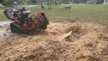 Tree Removal for Regal Tree Service and Stump Grinding in Wauchula, FL