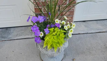 Lawn Maintenance for Trinity Landscapes  in Lumberton, NC