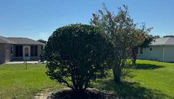 Mowing for Young's Lawn Services LLC in Ocala, FL