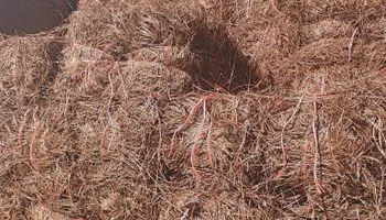 Pinestraw for BAM Another Pinestraw Lot in Flowery Branch, GA