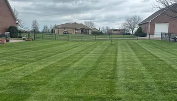 Fertilization Treatments for Chief Lawn Care in Lee's Summit, MO