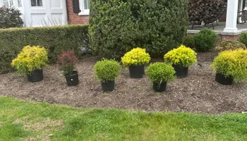 Lawn Maintenance for Green Way Landscape and Building Maintenance in Princeton, NJ