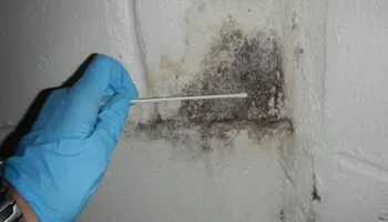 Bathroom Renovation for VISION 21inc General Contractor in Brooklyn, NY