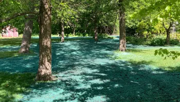 Hydroseeding for TS Hydroseeding in Morris,  MN