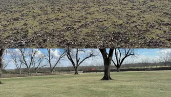 Painting and Drywall for Camalett Services in Perry, GA