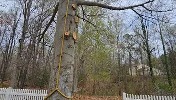 Land Clearing & Demolition for Hired Gunz Services LLC in La Plata, MD