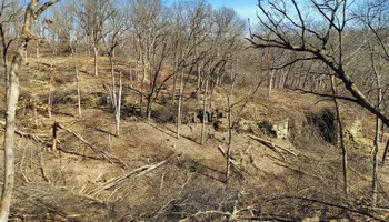 Wildlife & Hunting Property Management for Bluffside Forestry in Cedar Rapids, IA