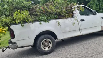 Yard Debris Clean Up for Moma Services: Junk Removal, Trash Removal, Hauling, & Donation in Baltimore, MD