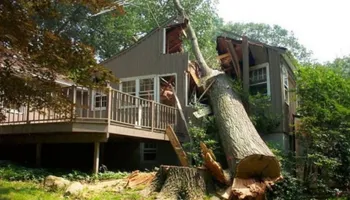 Appraisals for Catastrophe Loss Consultants in Dallas, TX