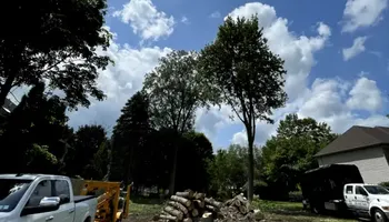Tree Removal for Huntsville Tree Service in Huntsville, AL