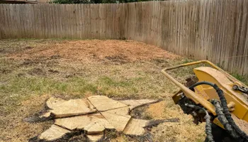 Tree Removal for Z’s Trees LLC in Grey Forest, TX