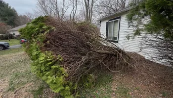 Land Clearing for G1 Excavation LLC in Titusville, NJ