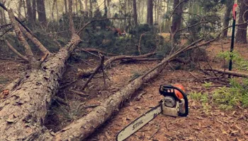 Tree Removal for H3 Land Management in Centerville, TX