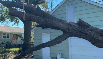 Tree Removal for Allstate Tree Service in Fridley, MN