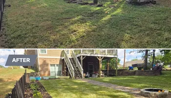 Tree Removal for Optimum Tree Service And Landscaping in Bowling Green, KY