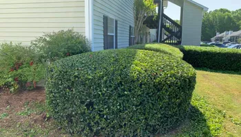Mowing for Bega Landscape Services in Atlanta, Georgia