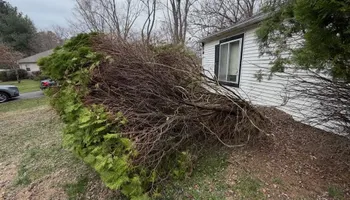 Land Clearing for G1 Excavation LLC in Titusville, NJ