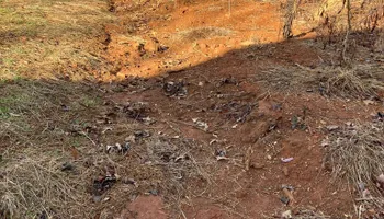 Land Clearing for Gibson Grade Works in Towns County, GA